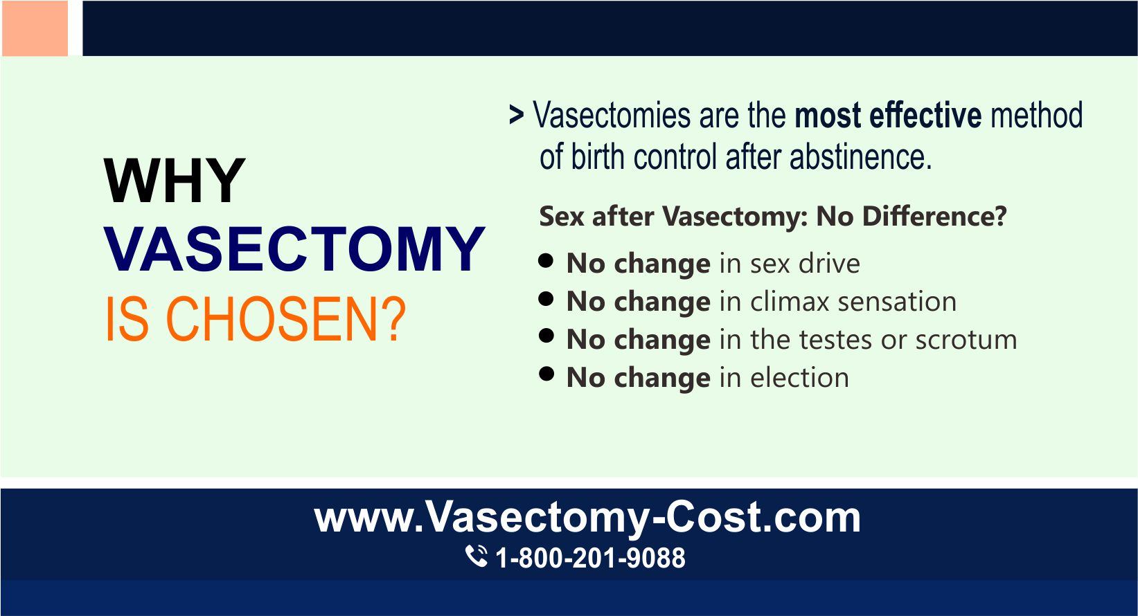 Vasectomy procedure information and consultation